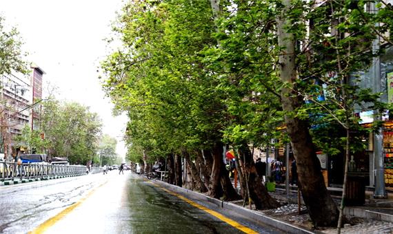 بهسازی بصری خیابان ولیعصر در دستور کار قرار گرفت