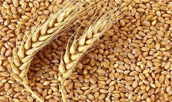 بیش از 2 هزار میلیارد ریال تسهیلات بانکی به پرورش دهندگان دام و طیوردر اصفهان اختصاص یافت