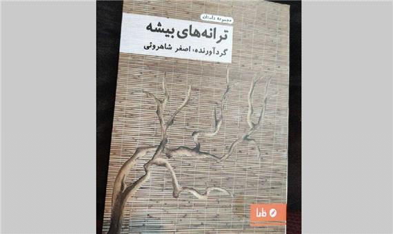 مجموعه داستان «ترانه‌های بیشه» منتشر شد