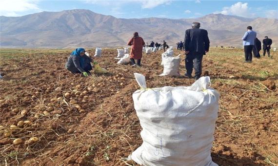 70 درصد بهره برداران کشاورزی استان اصفهان تحت پوشش بیمه نیستند
