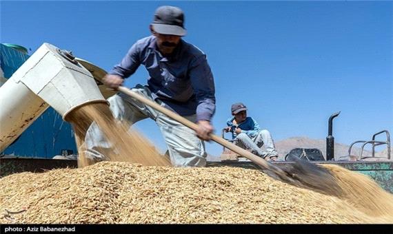 گزارش تسنیم از افزایش قیمت برنج در بازار اصفهان/یک کالای اساسی دیگر از سبد غذایی قشر ضعیف حذف می‌شود