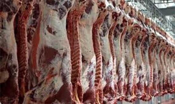 گران‌تر شدن گوشت قرمز موج‌ خبری است که دلالان از آن سود می‌برند