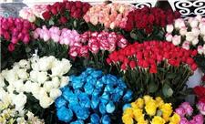 افزایش 20 درصدی قیمت گل در بازار اصفهان