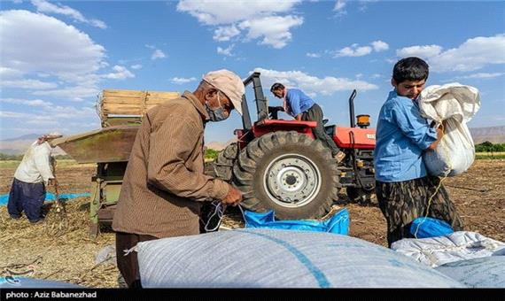 کشاورزانی که پا به سن گذاشته‌اند؛ کشاورزی با دغدغه کمبود آب