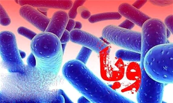 شمار مبتلایان به وبا در اصفهان به 20 نفر افزایش یافت
