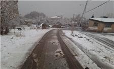 برف پاییزی ارتفاعات شمال تهران را سفید پوش کرد/آماده‌باش نیروهای برف‌روب منطقه یک از شب گذشته