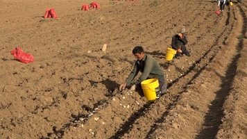 پیام سپاهان