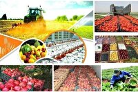 سرمایه‌گذاری ۱۹ هزار میلیارد ریالی در صنعت کشاورزی اصفهان
