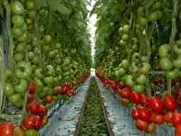 افتتاح چند طرح در خمینی شهر