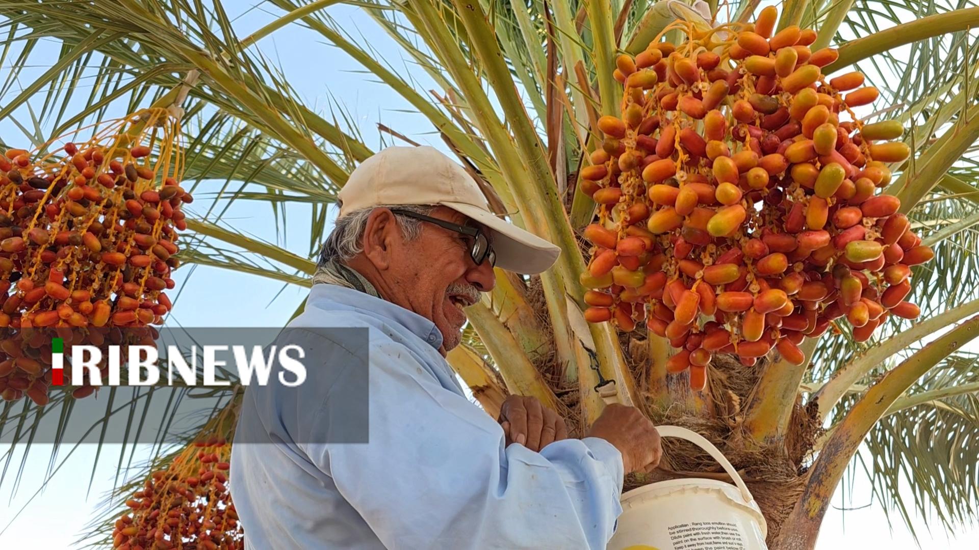 پیام سپاهان