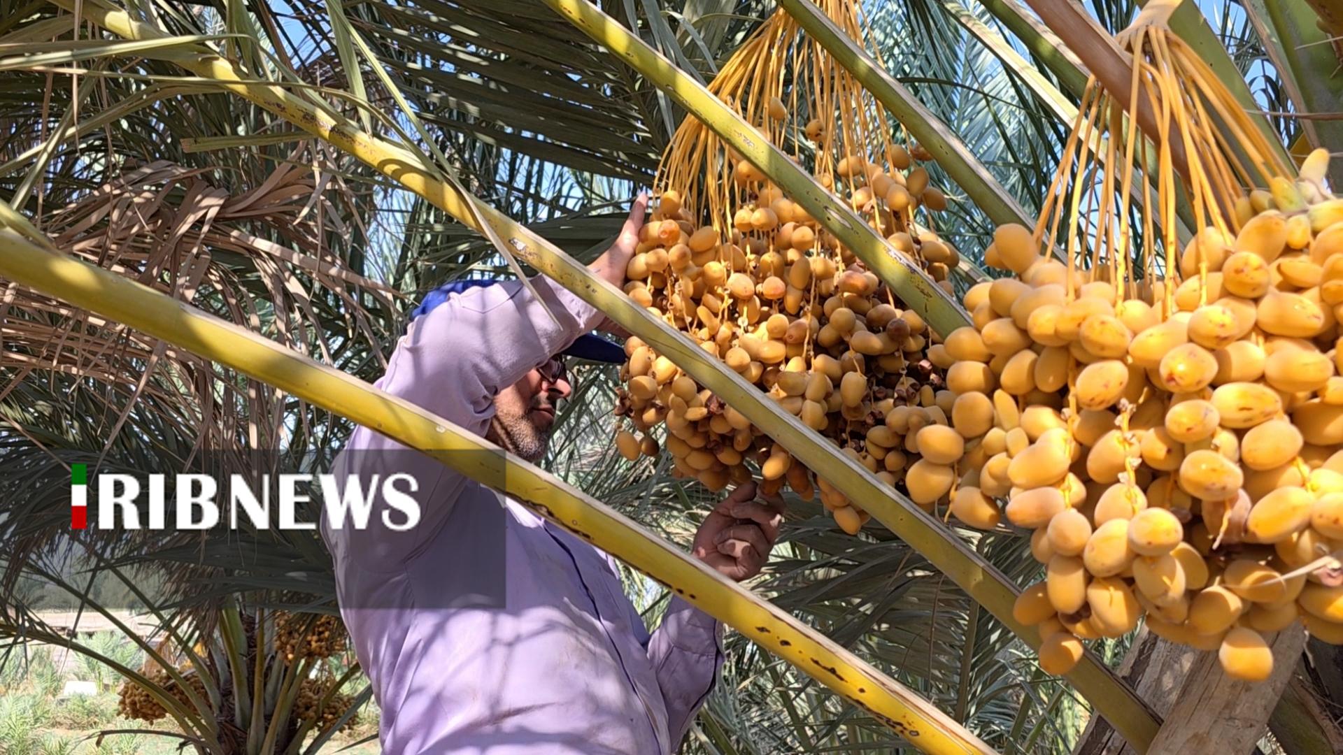 پیام سپاهان