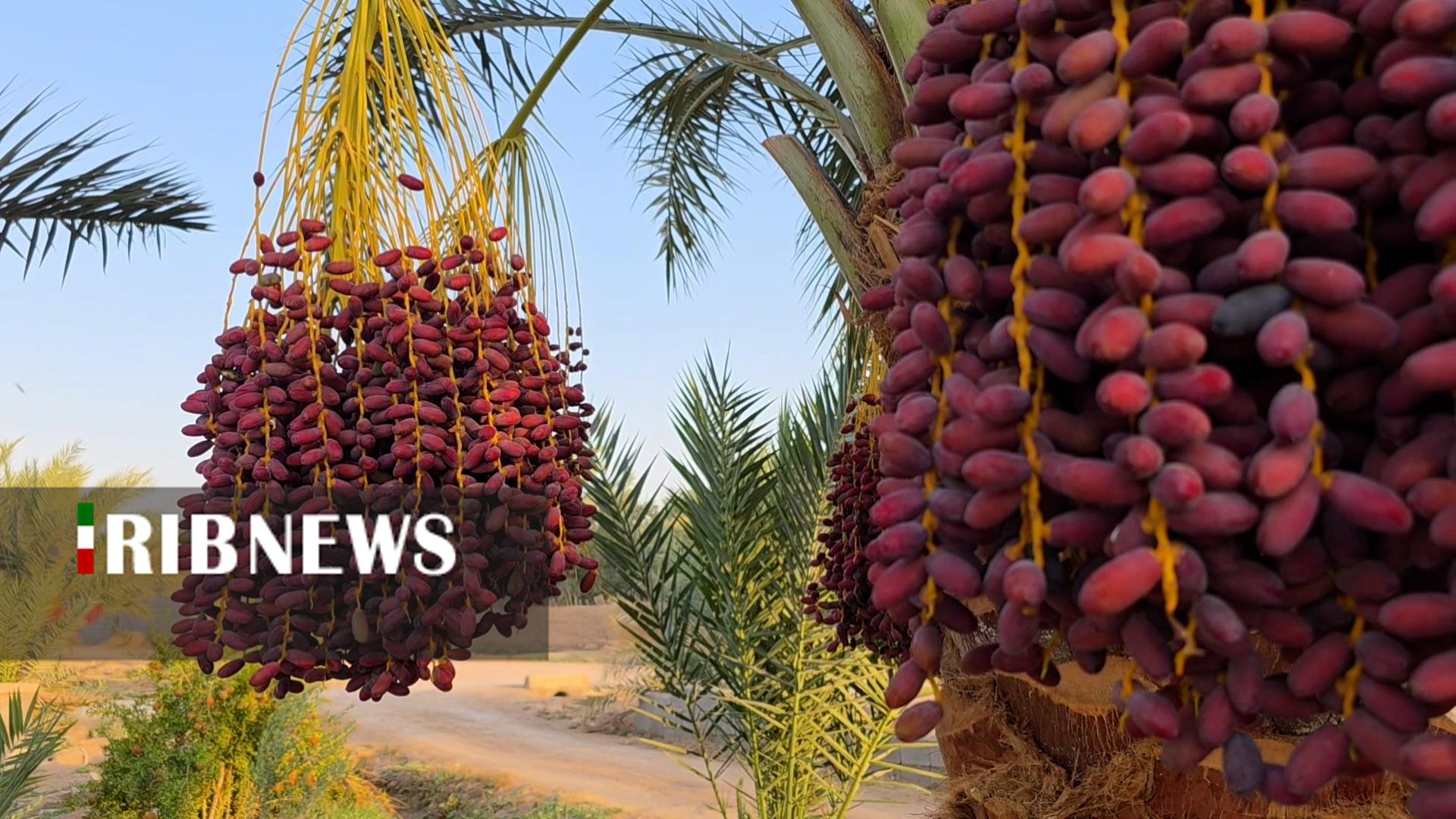 پیام سپاهان