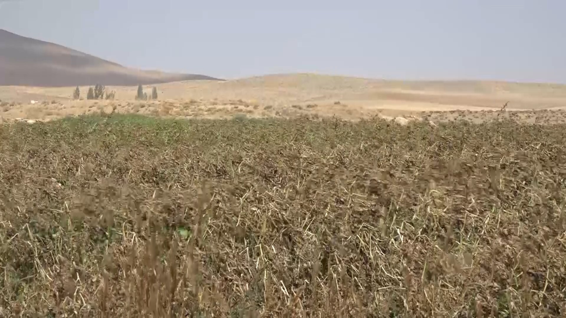 پیام سپاهان