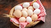 اصفهان قطب تولید پروتئین و تخم مرغ کشور