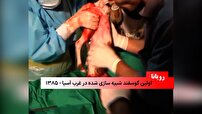 شبیه سازی یوزپلنگ ایرانی در پژوهشکده رویان