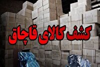 کشف ۲۰ میلیارد کالای قاچاق از یک واحد صنفی