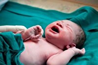 ثبت بیش از ۲۲ هزار ولادت در اصفهان