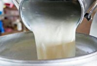 خروج ۴ تن شیر غیربهداشتی از چرخه مصرف انسانی در خمینی شهر