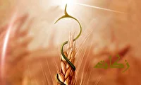 جمع آوری ۱۳۹ میلیارد تومان زکات در استان