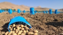 پیام سپاهان