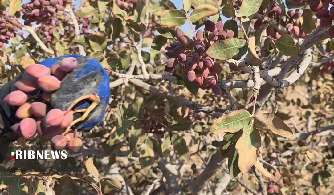 پیام سپاهان