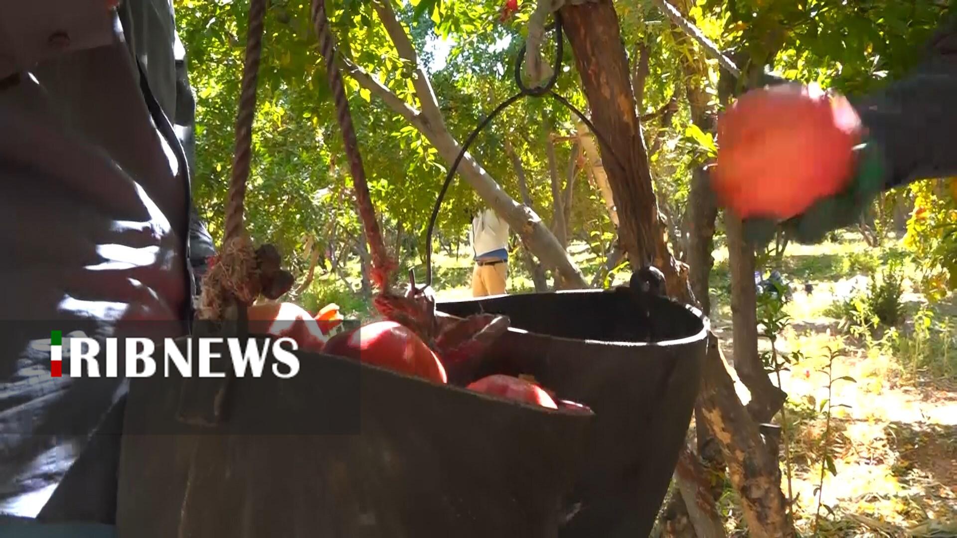 پیام سپاهان