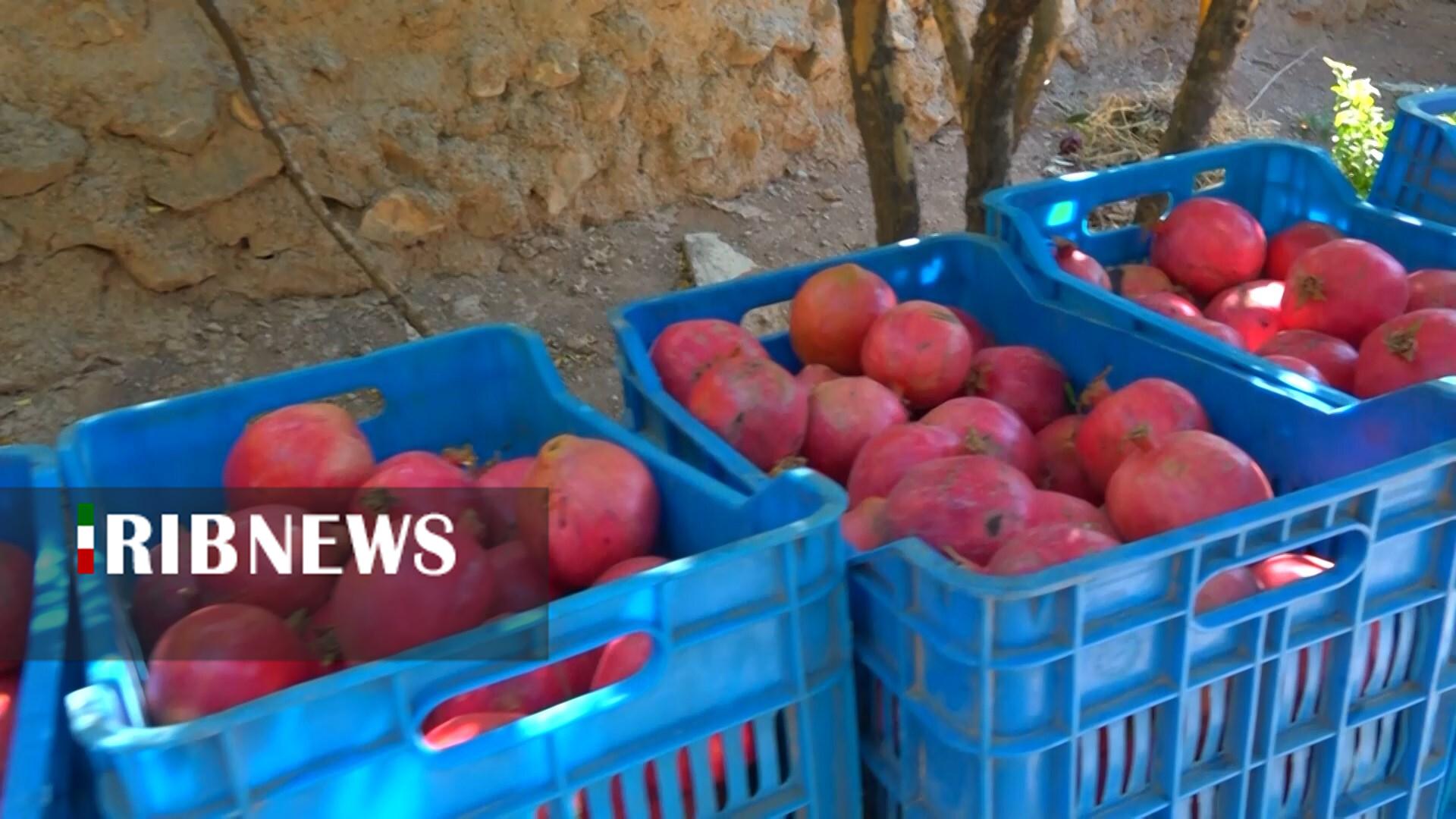 پیام سپاهان