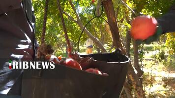 پیام سپاهان