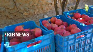 پیام سپاهان