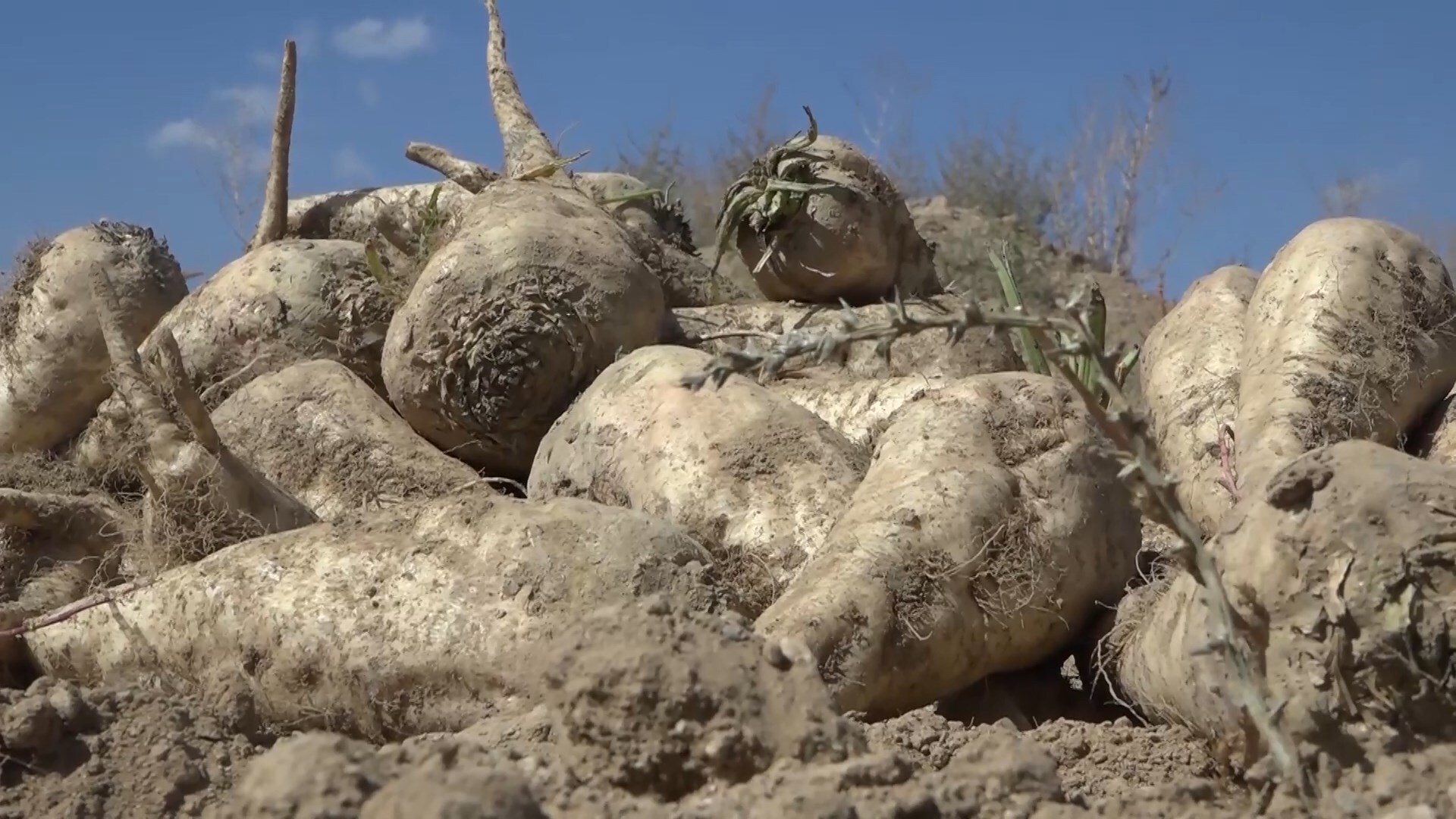 پیام سپاهان