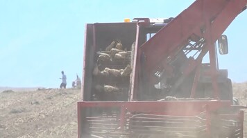 پیام سپاهان