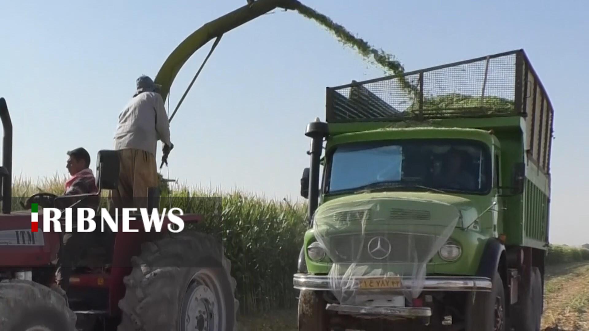 پیام سپاهان