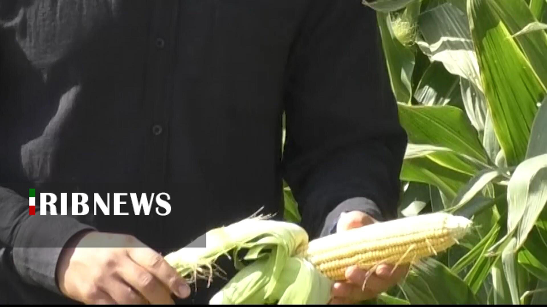 پیام سپاهان