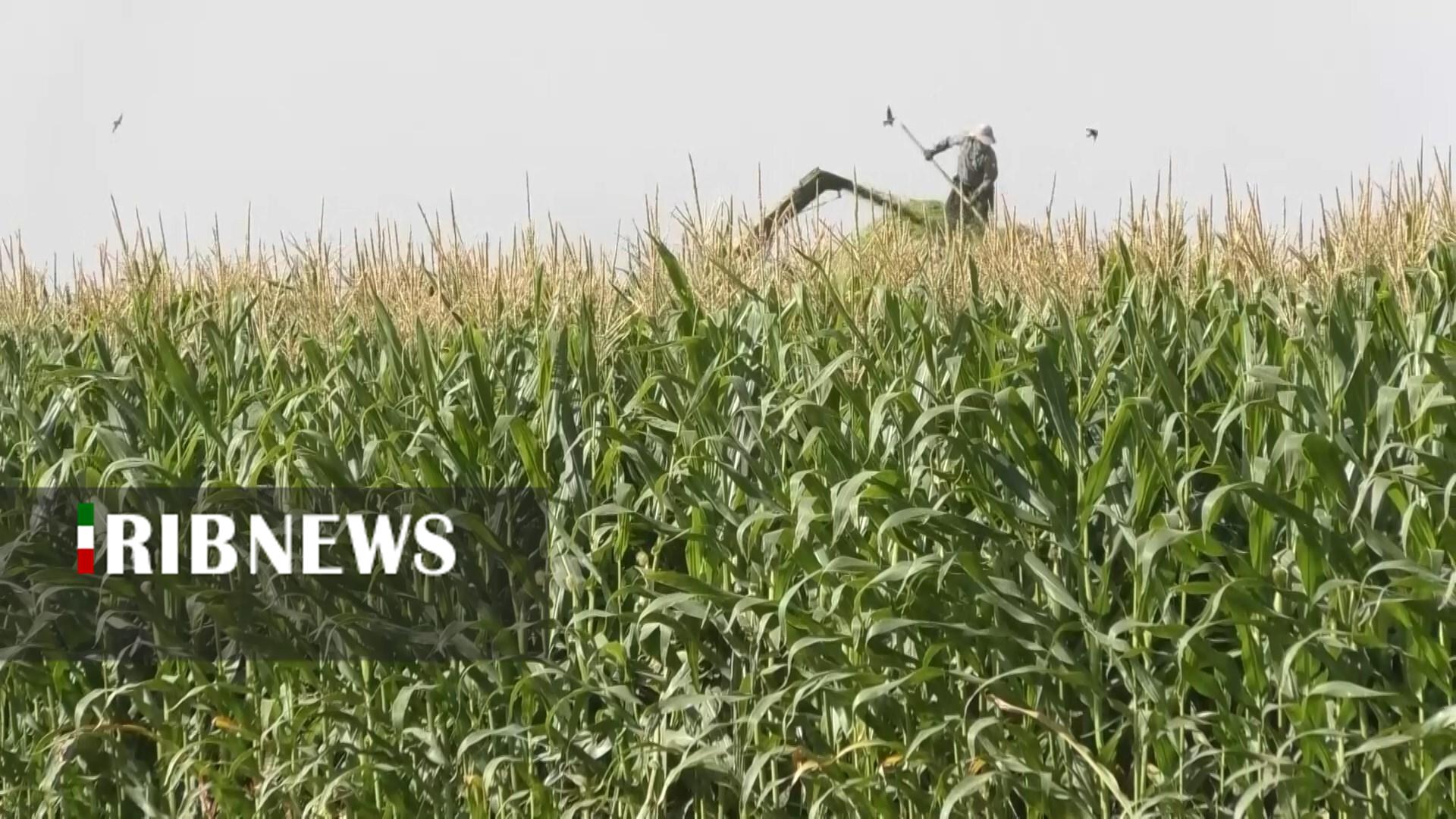 پیام سپاهان