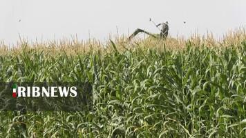 پیام سپاهان