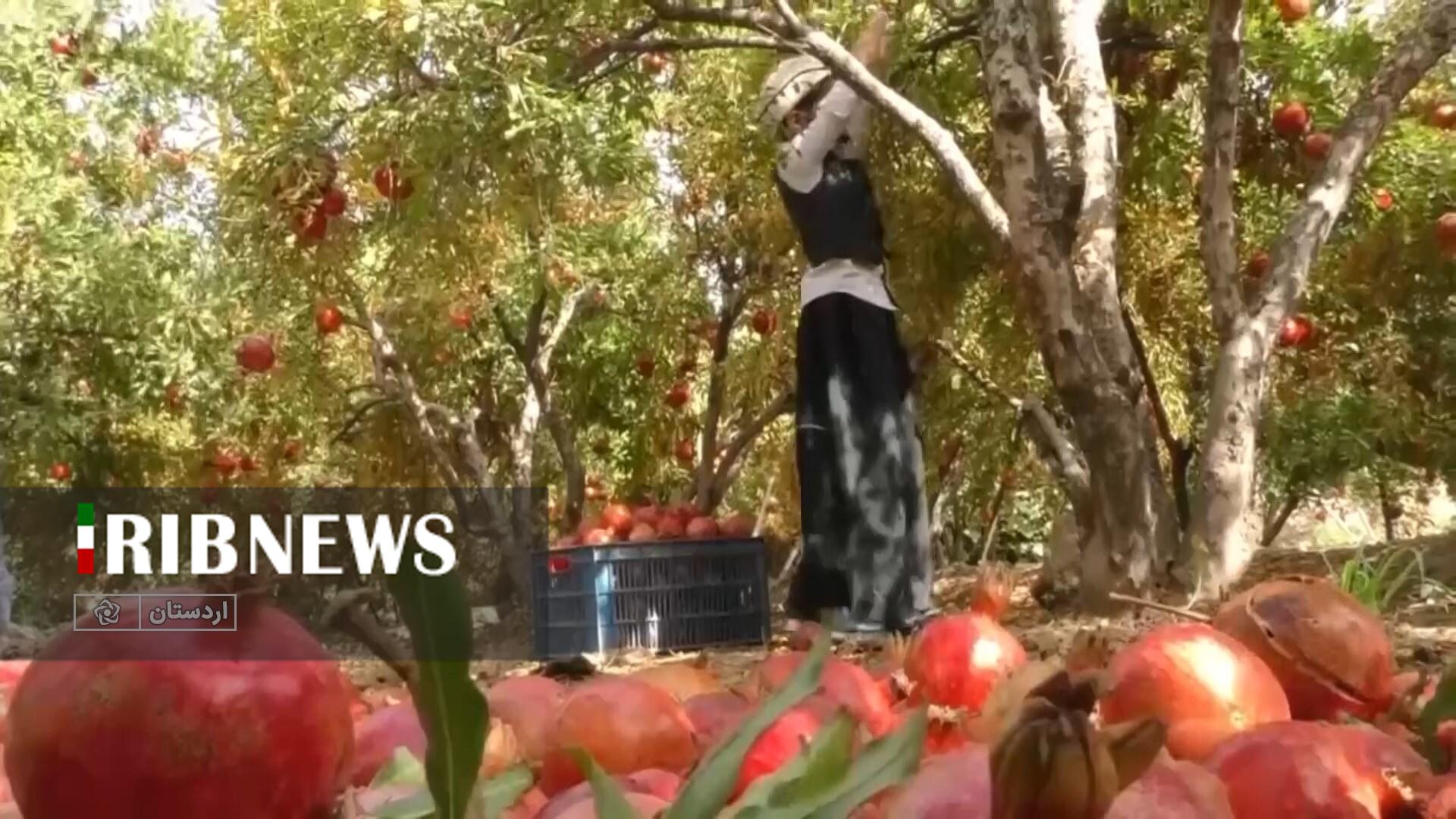 پیام سپاهان