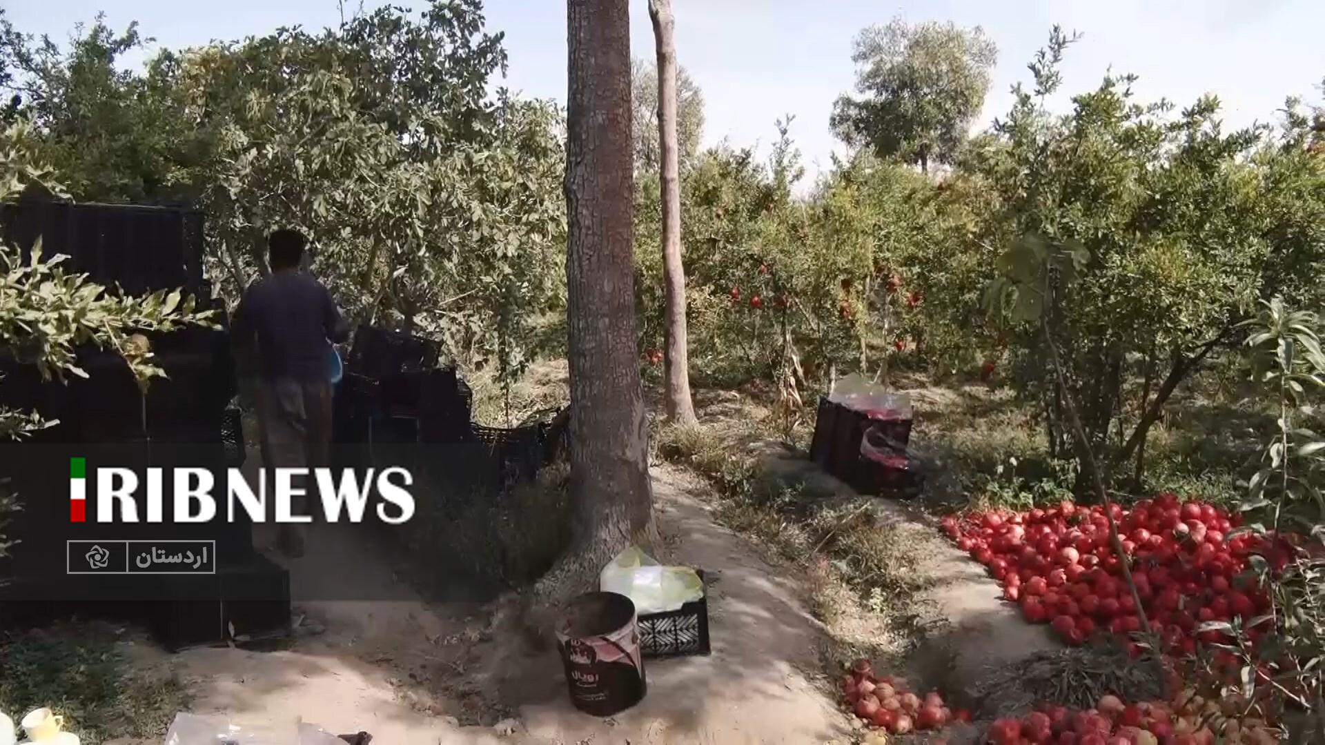 پیام سپاهان