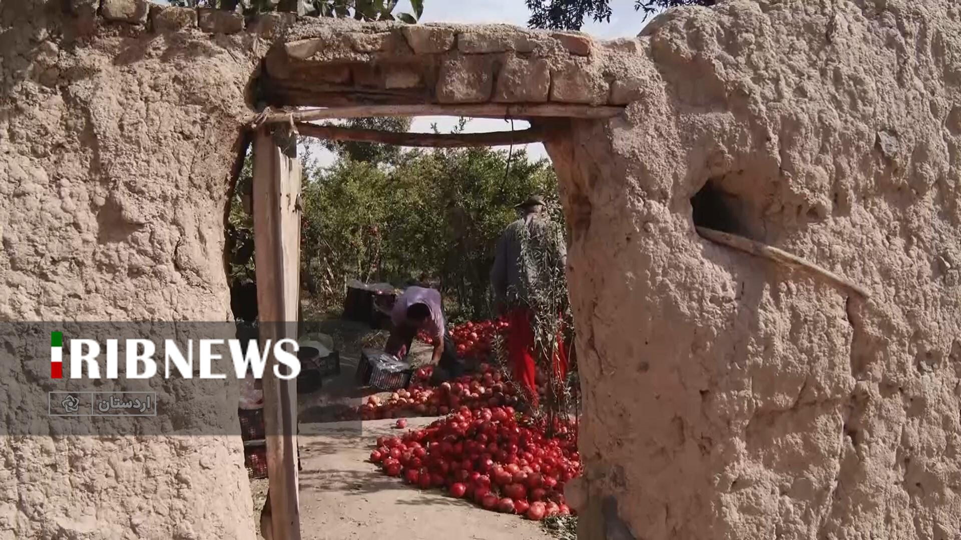 پیام سپاهان