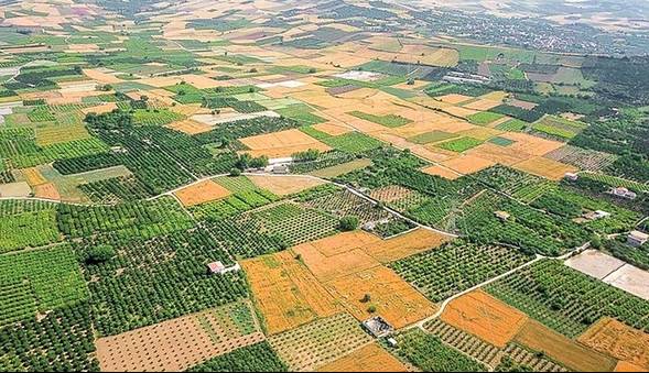 مردم کاشان قبل از معامله املاک وقفی از اداره اوقاف استعلام بگیرند