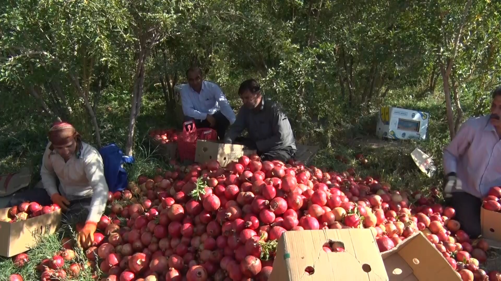 پیام سپاهان