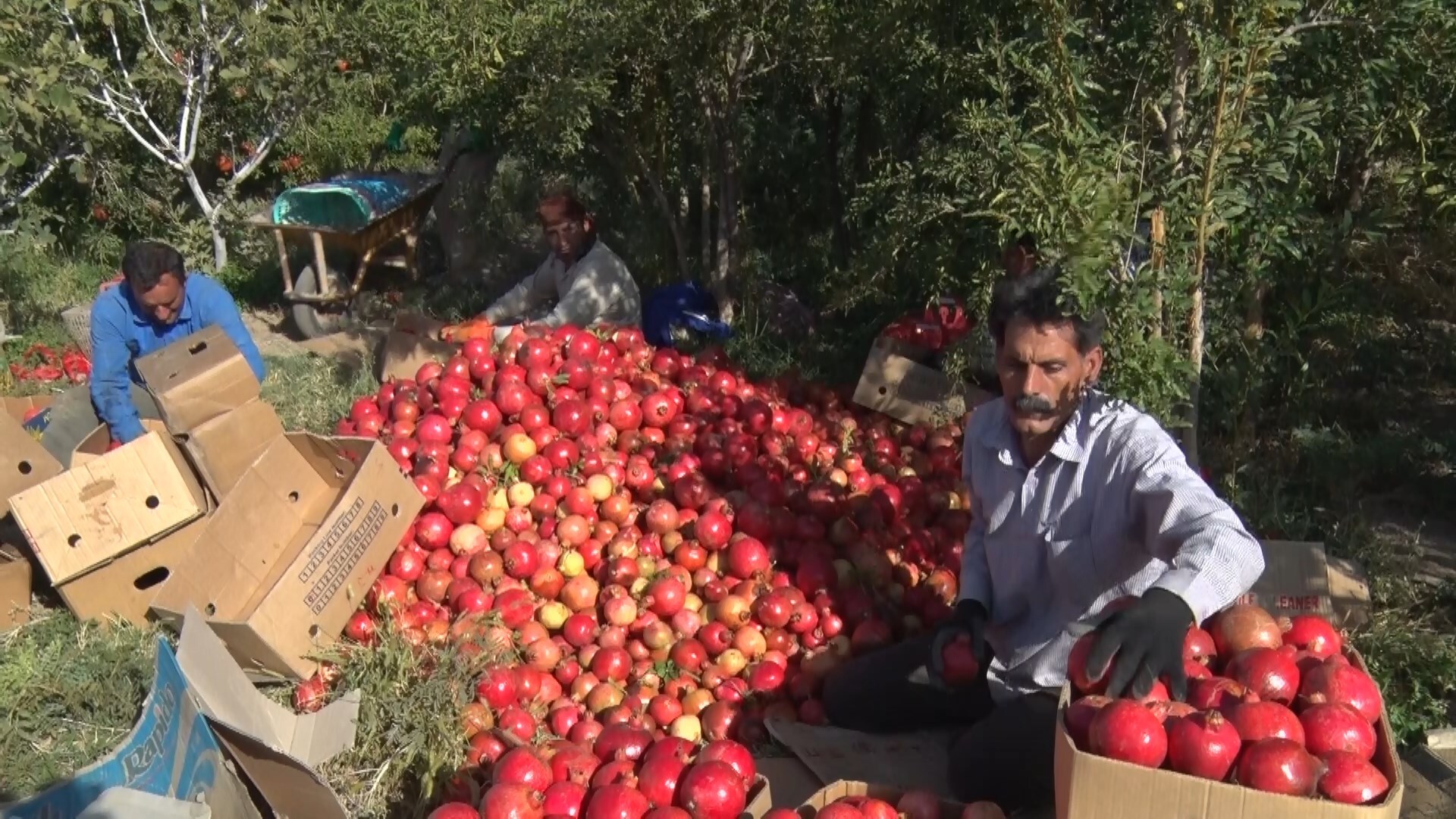 پیام سپاهان