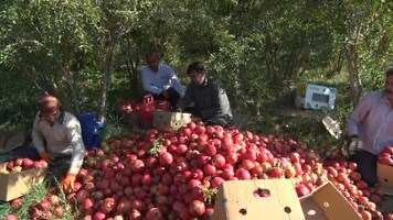 پیام سپاهان