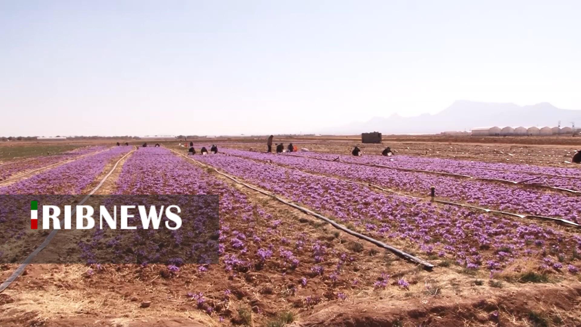 پیام سپاهان