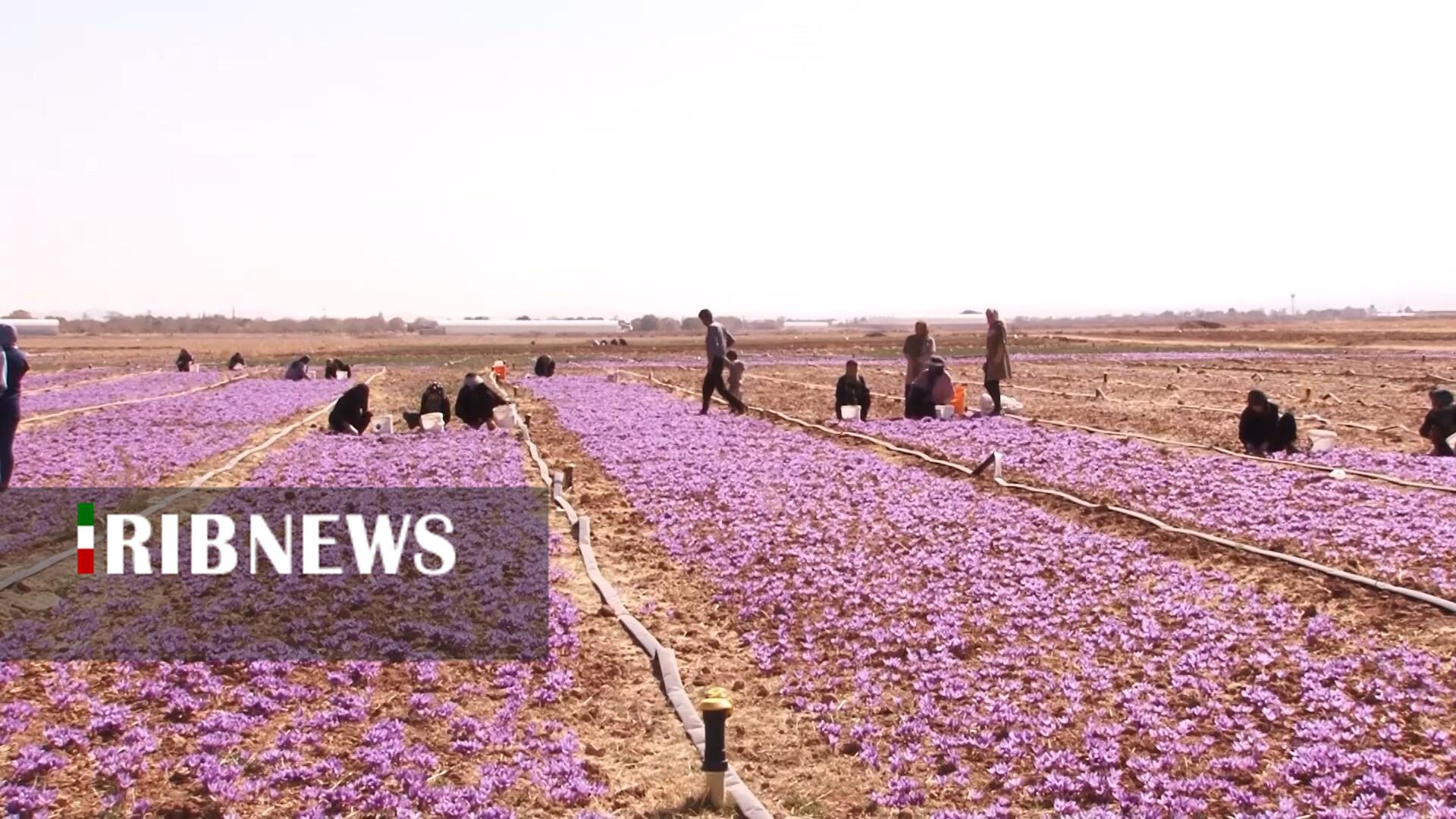 پیام سپاهان