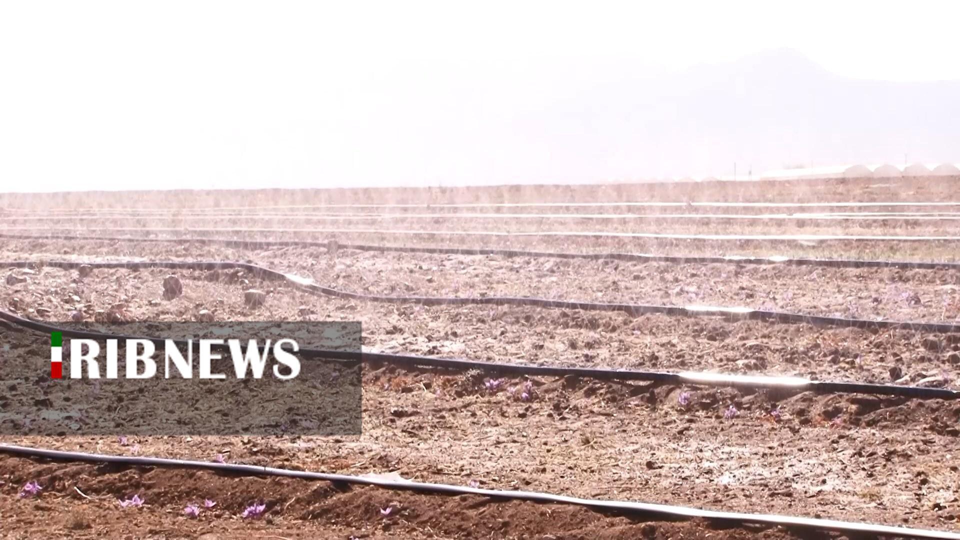 پیام سپاهان