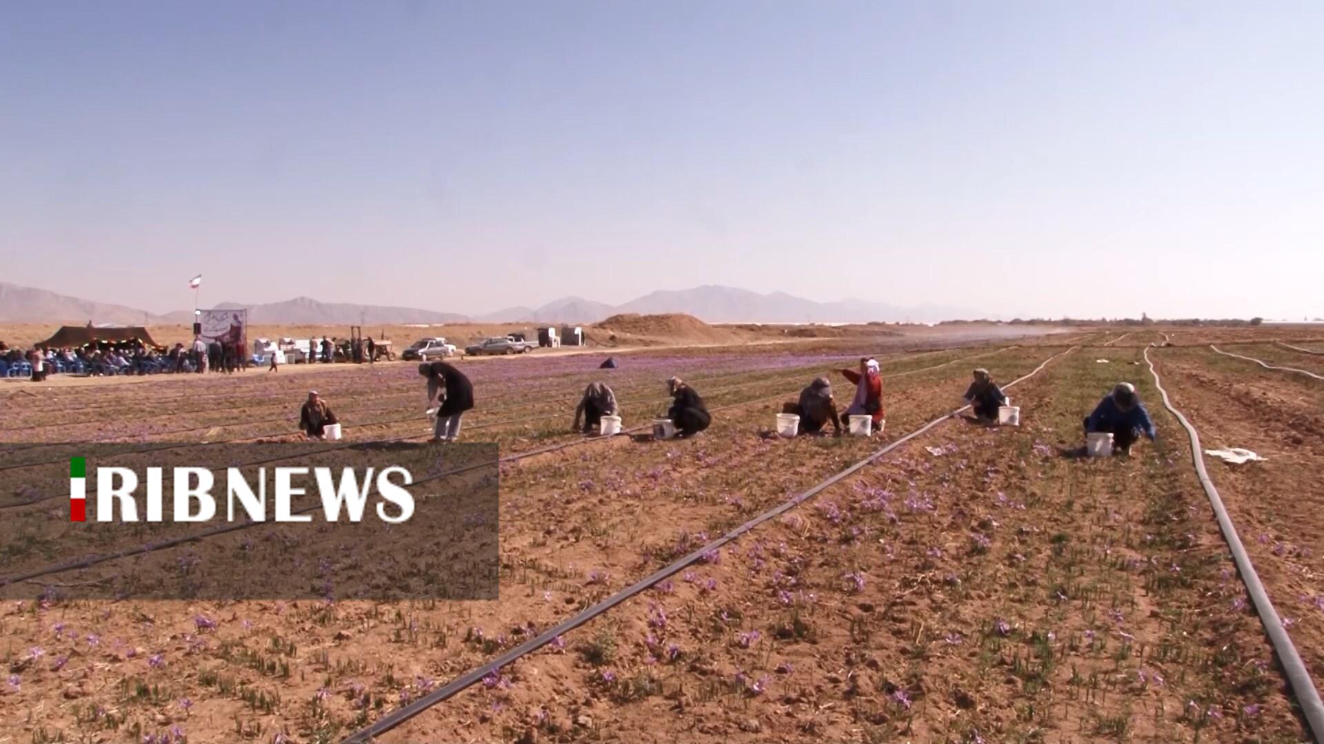 پیام سپاهان