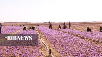 پیام سپاهان