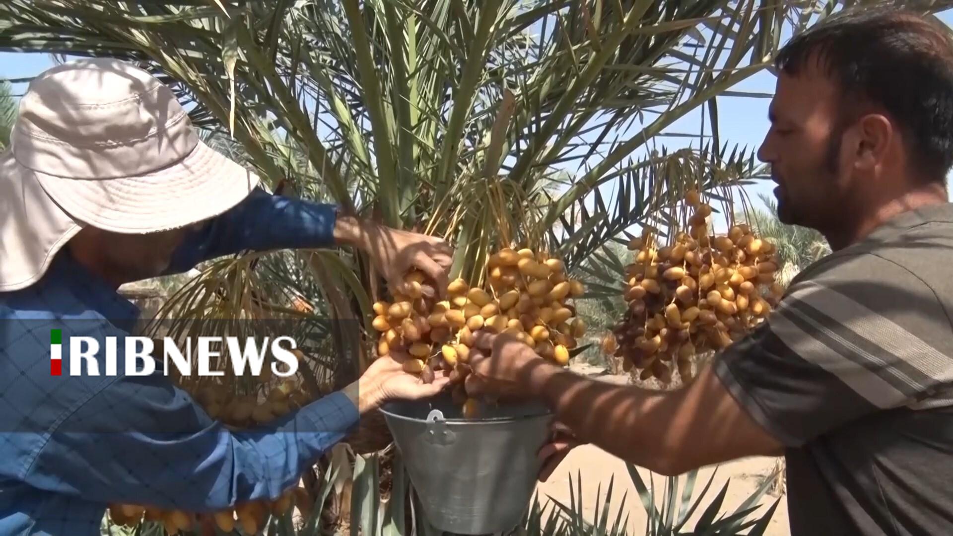 پیام سپاهان