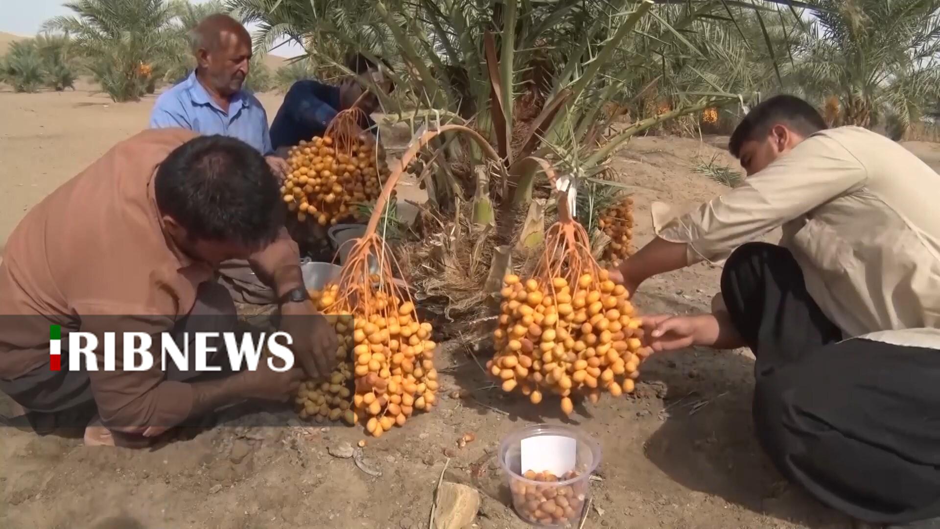 پیام سپاهان