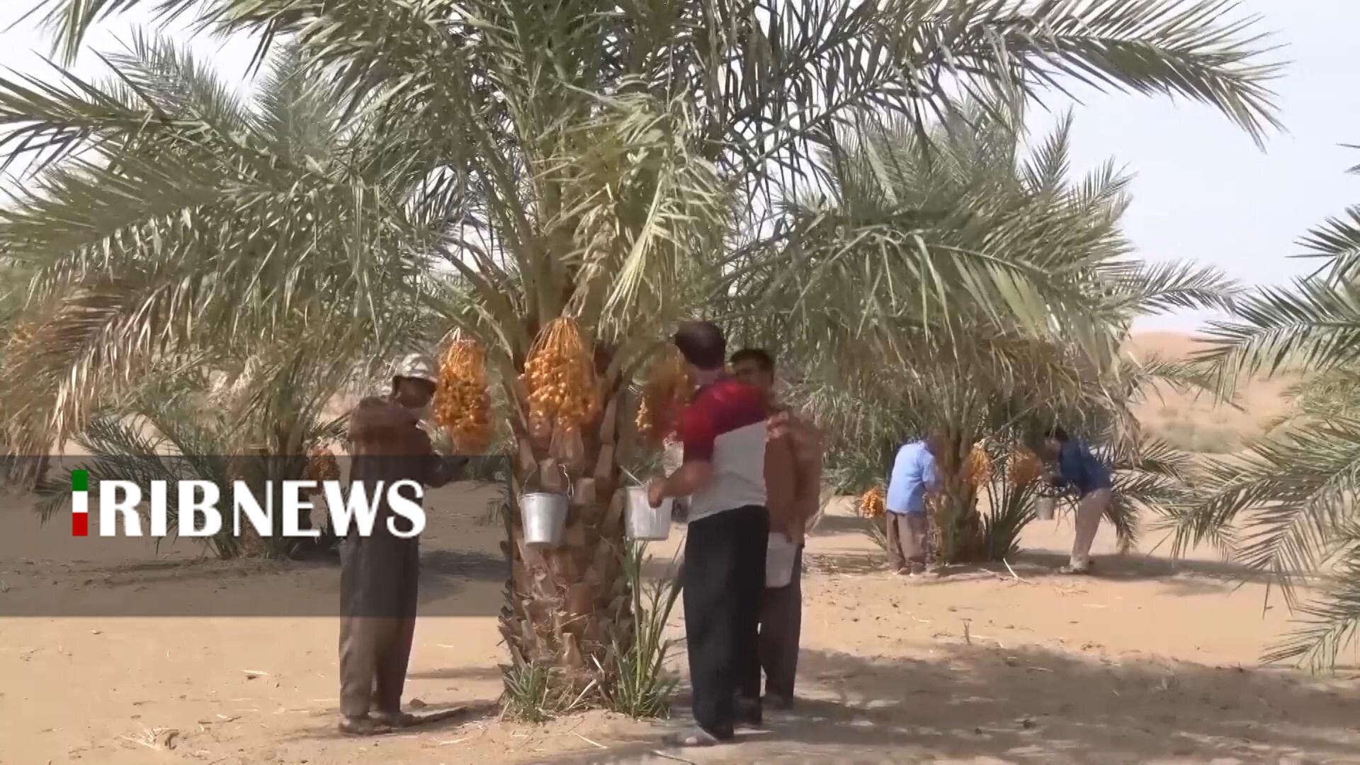 پیام سپاهان